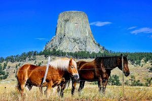 Devils Tower National Monument - Sundance, Wyoming