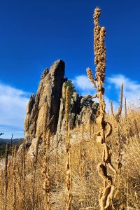 Needles Highway, South Dakota